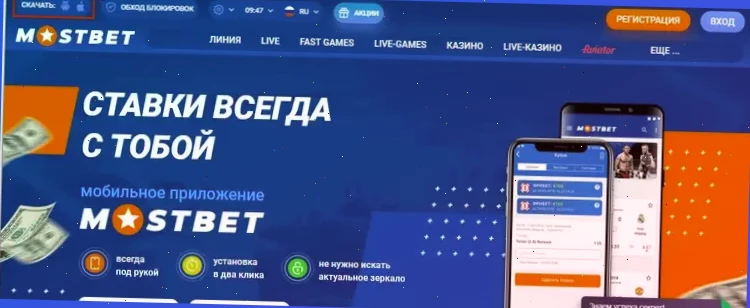 скачать bet на телефон